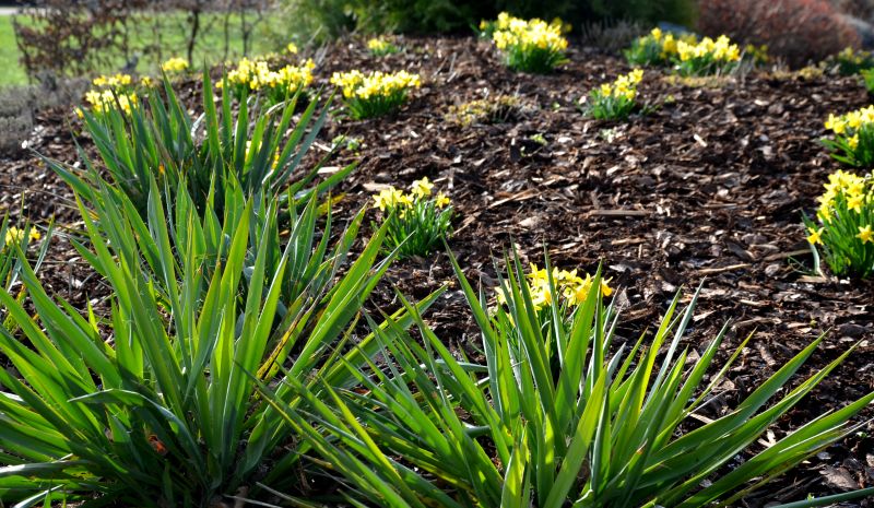 Garden Mulch Installation
