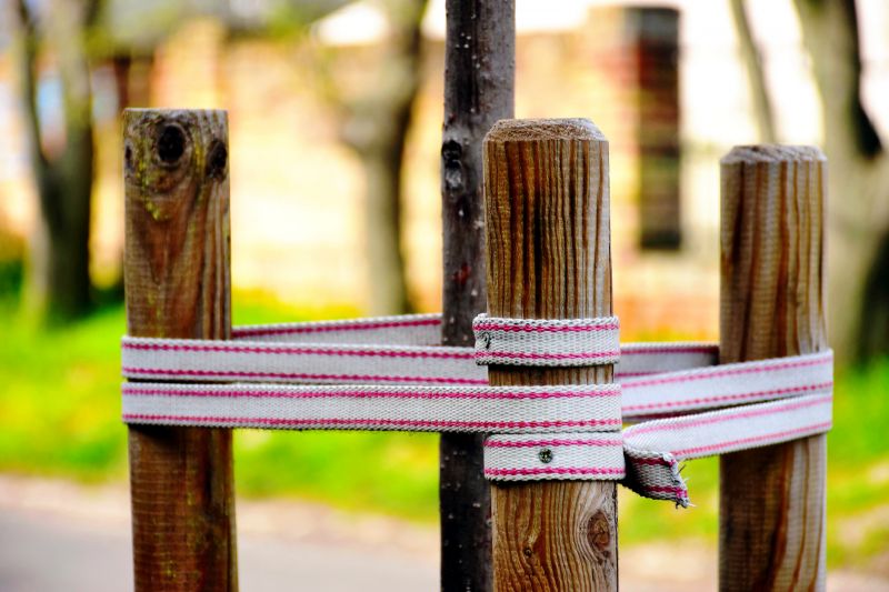 Tree Staking Service