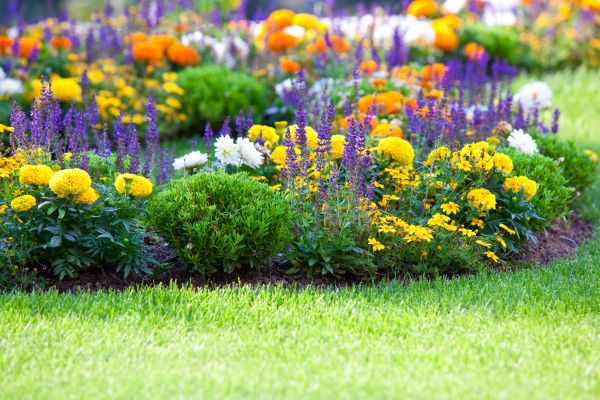 Flower Bed Maintenance in Greenwood