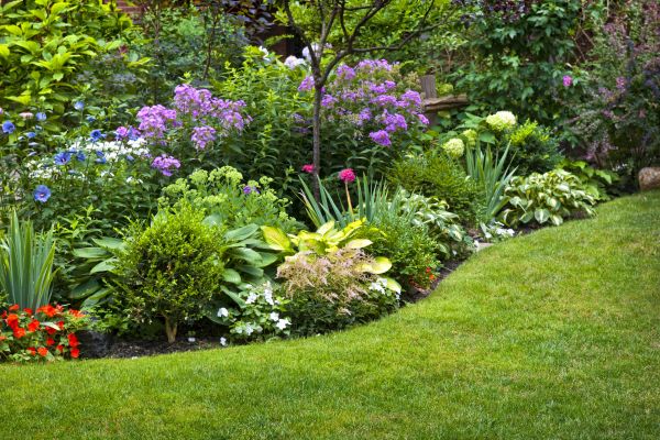 Flower Bed Service in Greenwood