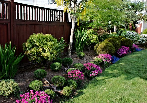 Garden Care Service in Greenwood