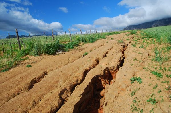 Soil Erosion Control