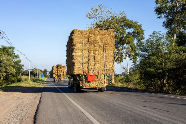 Pine Straw Delivery in Greenwood
