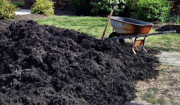 Black Mulch Delivery in Greenwood