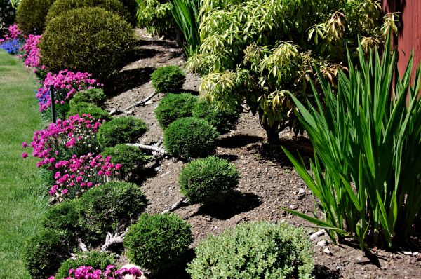 Residential Gardening in Greenwood