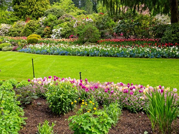 Residential Landscape Design in Greenwood