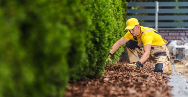 Cypress Mulch Installation in Greenwood