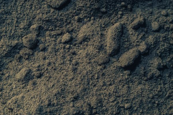 Loam Delivery in Greenwood