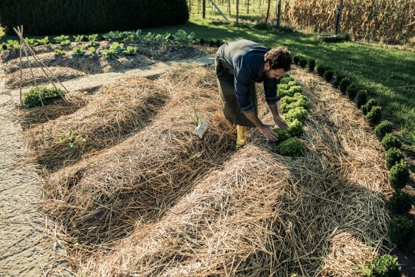 Straw Mulching Service in Greenwood