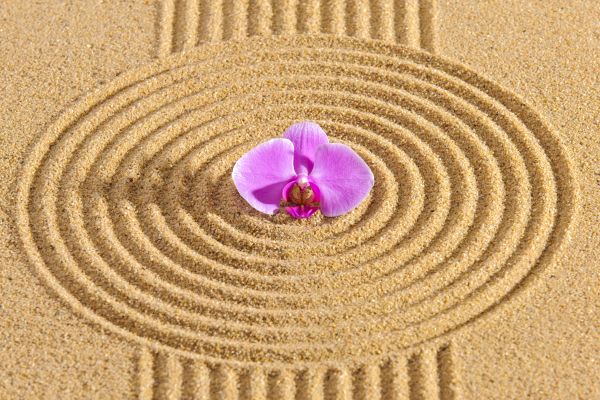 Sand Garden Landscaping in Greenwood