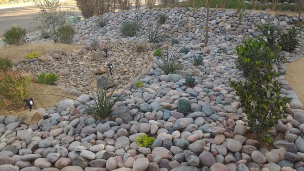 Yard Xeriscaping in Greenwood
