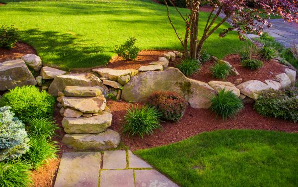 Landscape Rock Placement