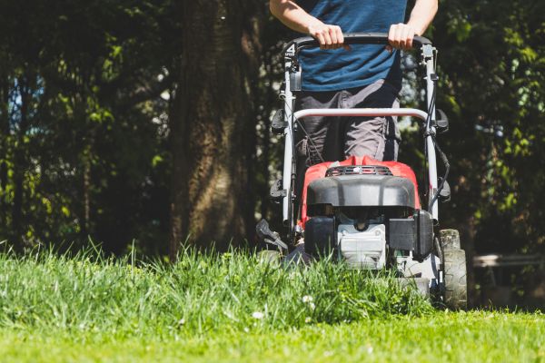Garden Trimming Service in Greenwood