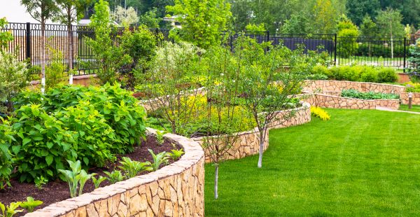Yard Makeover Service in Greenwood