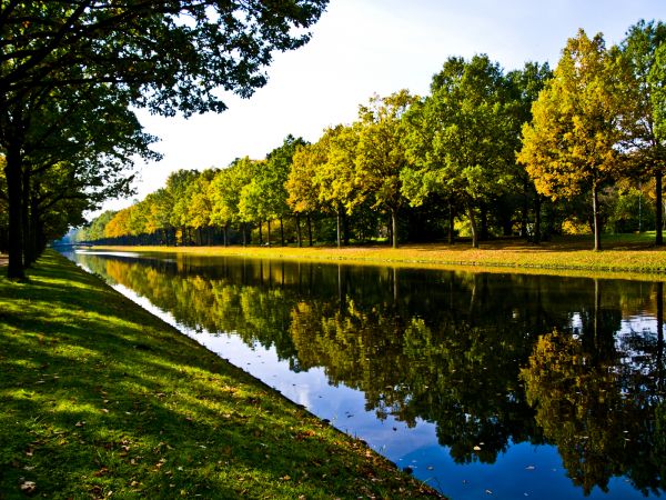 Bank Landscaping in Greenwood
