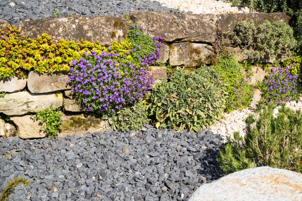 Landscaping Rocks Installation in Greenwood