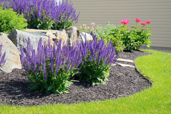 Landscape Planting Service in Greenwood
