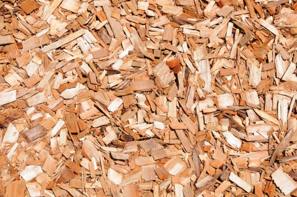 Cypress Mulch Spreading in Greenwood