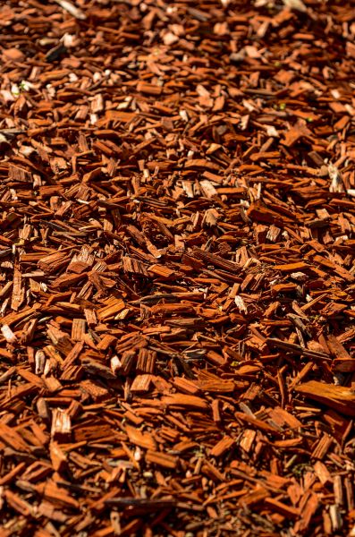 Cedar Mulch Spreading in Greenwood