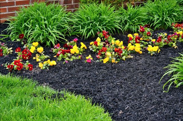 Apartment Mulching in Greenwood