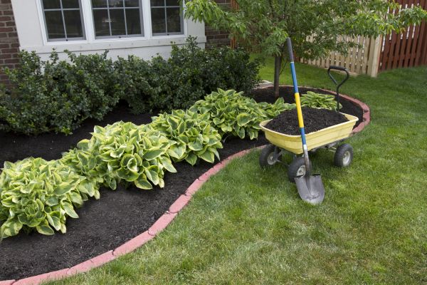 Mulch Installation in Greenwood
